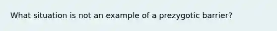 What situation is not an example of a prezygotic barrier?