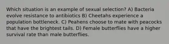 Which situation is an example of sexual selection? A) Bacteria evolve resistance to antibiotics B) Cheetahs experience a population bottleneck. C) Peahens choose to mate with peacocks that have the brightest tails. D) Female butterflies have a higher survival rate than male butterflies.