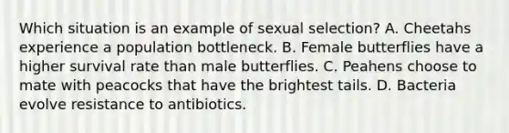 Which situation is an example of sexual selection? A. Cheetahs experience a population bottleneck. B. Female butterflies have a higher survival rate than male butterflies. C. Peahens choose to mate with peacocks that have the brightest tails. D. Bacteria evolve resistance to antibiotics.