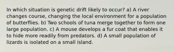 In which situation is genetic drift likely to occur? a) A river changes course, changing the local environment for a population of butterflies. b) Two schools of tuna merge together to form one large population. c) A mouse develops a fur coat that enables it to hide more readily from predators. d) A small population of lizards is isolated on a small island.