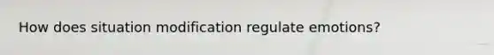 How does situation modification regulate emotions?