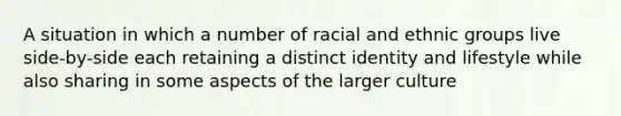 A situation in which a number of racial and ethnic groups live side-by-side each retaining a distinct identity and lifestyle while also sharing in some aspects of the larger culture