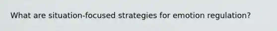 What are situation-focused strategies for emotion regulation?