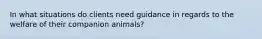 In what situations do clients need guidance in regards to the welfare of their companion animals?