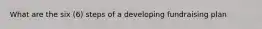 What are the six (6) steps of a developing fundraising plan