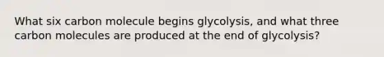 What six carbon molecule begins glycolysis, and what three carbon molecules are produced at the end of glycolysis?