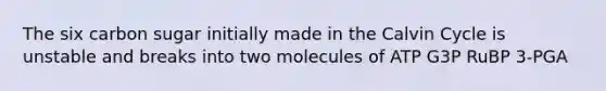 The six carbon sugar initially made in the Calvin Cycle is unstable and breaks into two molecules of ATP G3P RuBP 3-PGA