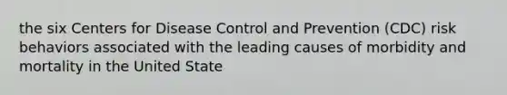the six Centers for Disease Control and Prevention (CDC) risk behaviors associated with the leading causes of morbidity and mortality in the United State