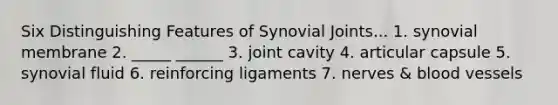 Six Distinguishing Features of Synovial Joints... 1. synovial membrane 2. _____ ______ 3. joint cavity 4. articular capsule 5. synovial fluid 6. reinforcing ligaments 7. nerves & blood vessels