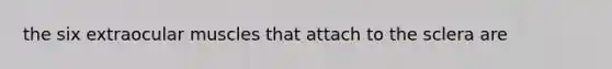 the six extraocular muscles that attach to the sclera are