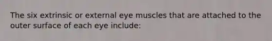 The six extrinsic or external eye muscles that are attached to the outer surface of each eye include: