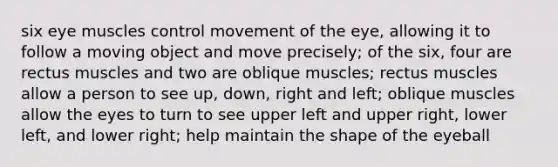 six eye muscles control movement of the eye, allowing it to follow a moving object and move precisely; of the six, four are rectus muscles and two are oblique muscles; rectus muscles allow a person to see up, down, right and left; oblique muscles allow the eyes to turn to see upper left and upper right, lower left, and lower right; help maintain the shape of the eyeball