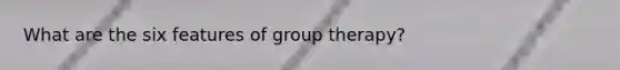 What are the six features of group therapy?