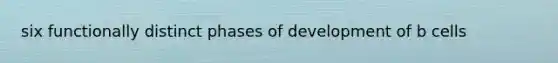 six functionally distinct phases of development of b cells