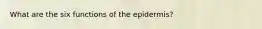 What are the six functions of the epidermis?