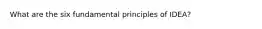 What are the six fundamental principles of IDEA?