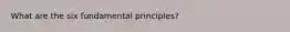 What are the six fundamental principles?