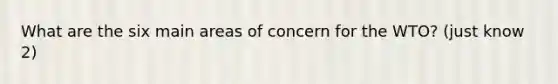 What are the six main areas of concern for the WTO? (just know 2)