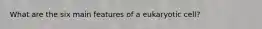 What are the six main features of a eukaryotic cell?