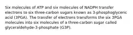 Six molecules of ATP and six molecules of NADPH transfer electrons to six three-carbon sugars known as 3-phosphoglyceric acid (3PGA). The transfer of electrons transforms the six 3PGA molecules into six molecules of a three-carbon sugar called glyceraldehyde-3-phosphate (G3P).