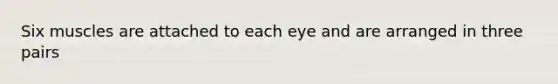 Six muscles are attached to each eye and are arranged in three pairs