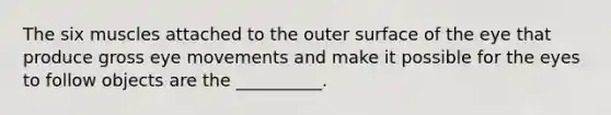 The six muscles attached to the outer surface of the eye that produce gross eye movements and make it possible for the eyes to follow objects are the __________.