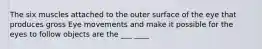 The six muscles attached to the outer surface of the eye that produces gross Eye movements and make it possible for the eyes to follow objects are the ___ ____