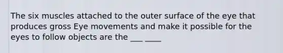 The six muscles attached to the outer surface of the eye that produces gross Eye movements and make it possible for the eyes to follow objects are the ___ ____