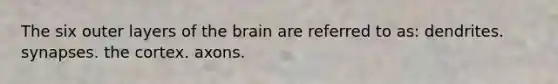 The six outer layers of the brain are referred to as: dendrites. synapses. the cortex. axons.