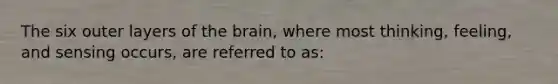 The six outer layers of the brain, where most thinking, feeling, and sensing occurs, are referred to as: