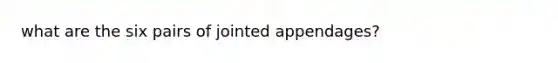 what are the six pairs of jointed appendages?