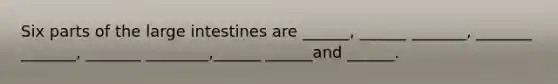 Six parts of the large intestines are ______, ______ _______, _______ _______, _______ ________,______ ______and ______.