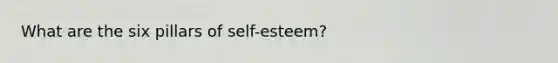 What are the six pillars of self-esteem?