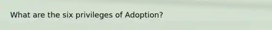 What are the six privileges of Adoption?