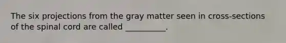 The six projections from the gray matter seen in cross-sections of the spinal cord are called __________.