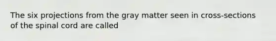 The six projections from the gray matter seen in cross-sections of the spinal cord are called