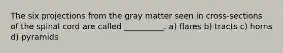 The six projections from the gray matter seen in cross-sections of the spinal cord are called __________. a) flares b) tracts c) horns d) pyramids