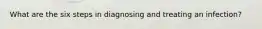 What are the six steps in diagnosing and treating an infection?