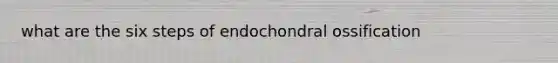 what are the six steps of endochondral ossification