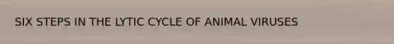 SIX STEPS IN THE LYTIC CYCLE OF ANIMAL VIRUSES