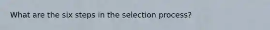 What are the six steps in the selection process?