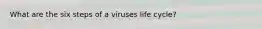 What are the six steps of a viruses life cycle?