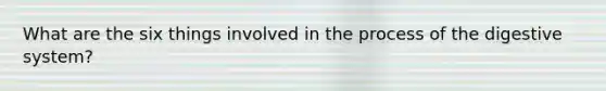 What are the six things involved in the process of the digestive system?