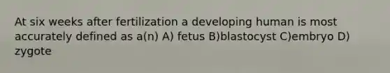 At six weeks after fertilization a developing human is most accurately defined as a(n) A) fetus B)blastocyst C)embryo D) zygote