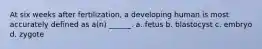 At six weeks after fertilization, a developing human is most accurately defined as a(n) ______. a. fetus b. blastocyst c. embryo d. zygote