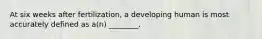At six weeks after fertilization, a developing human is most accurately defined as a(n) ________.