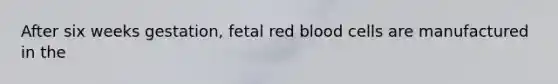 After six weeks gestation, fetal red blood cells are manufactured in the