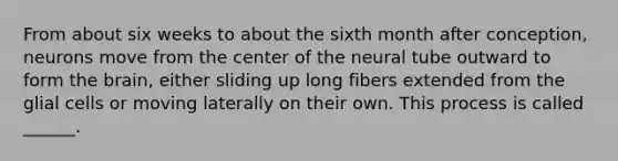 From about six weeks to about the sixth month after conception, neurons move from the center of the neural tube outward to form the brain, either sliding up long fibers extended from the glial cells or moving laterally on their own. This process is called ______.