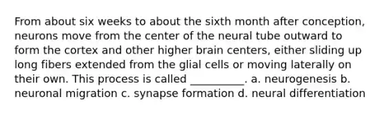 From about six weeks to about the sixth month after conception, neurons move from the center of the neural tube outward to form the cortex and other higher brain centers, either sliding up long fibers extended from the glial cells or moving laterally on their own. This process is called __________. a. neurogenesis b. neuronal migration c. synapse formation d. neural differentiation