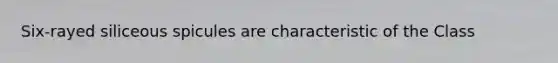 Six-rayed siliceous spicules are characteristic of the Class